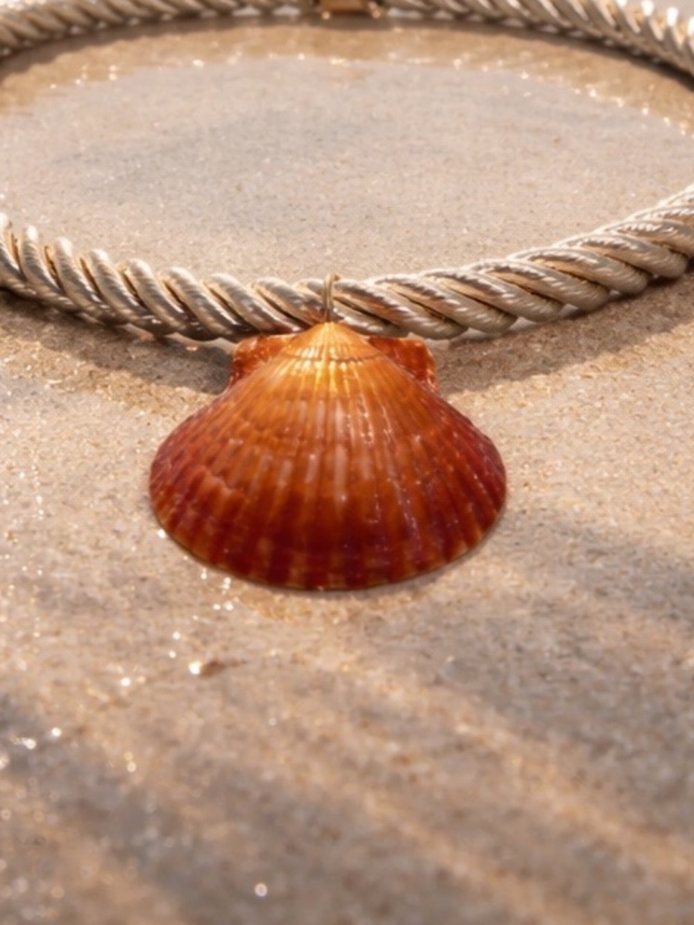 Shell necklace - Picture 4 of 7